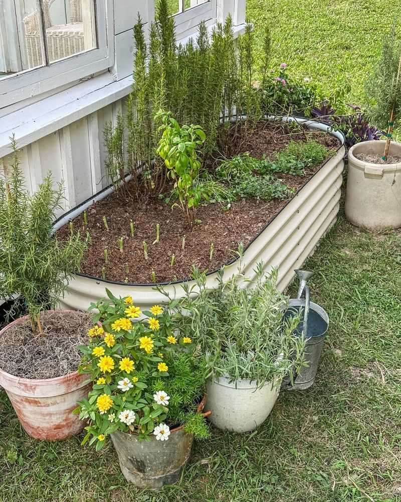 Create a Herb Garden