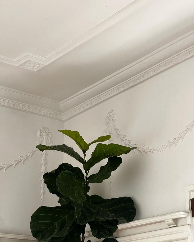 Crown Molding