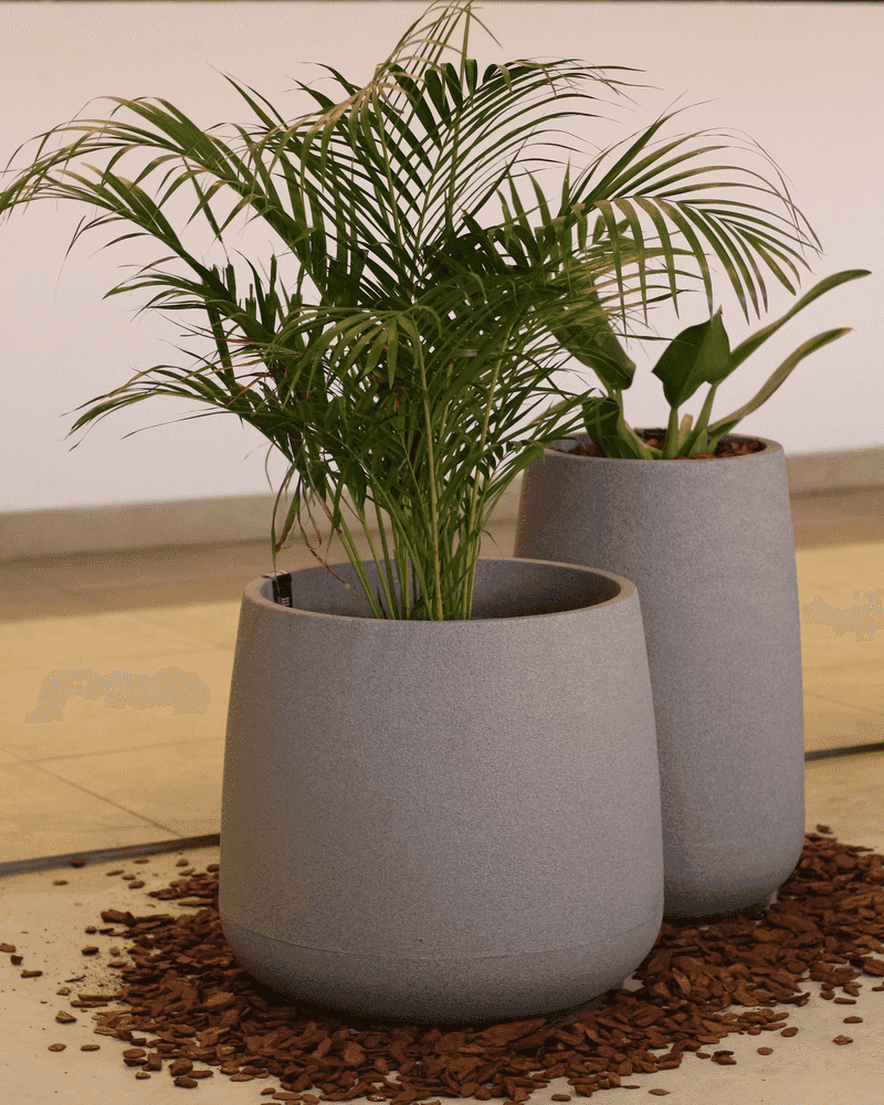 Curved Planters