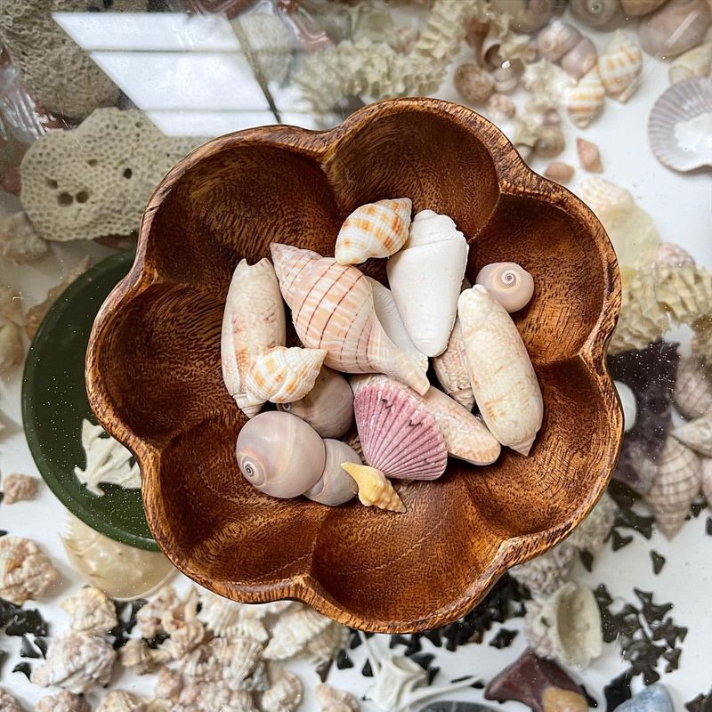 Decorative Bowl of Seashells