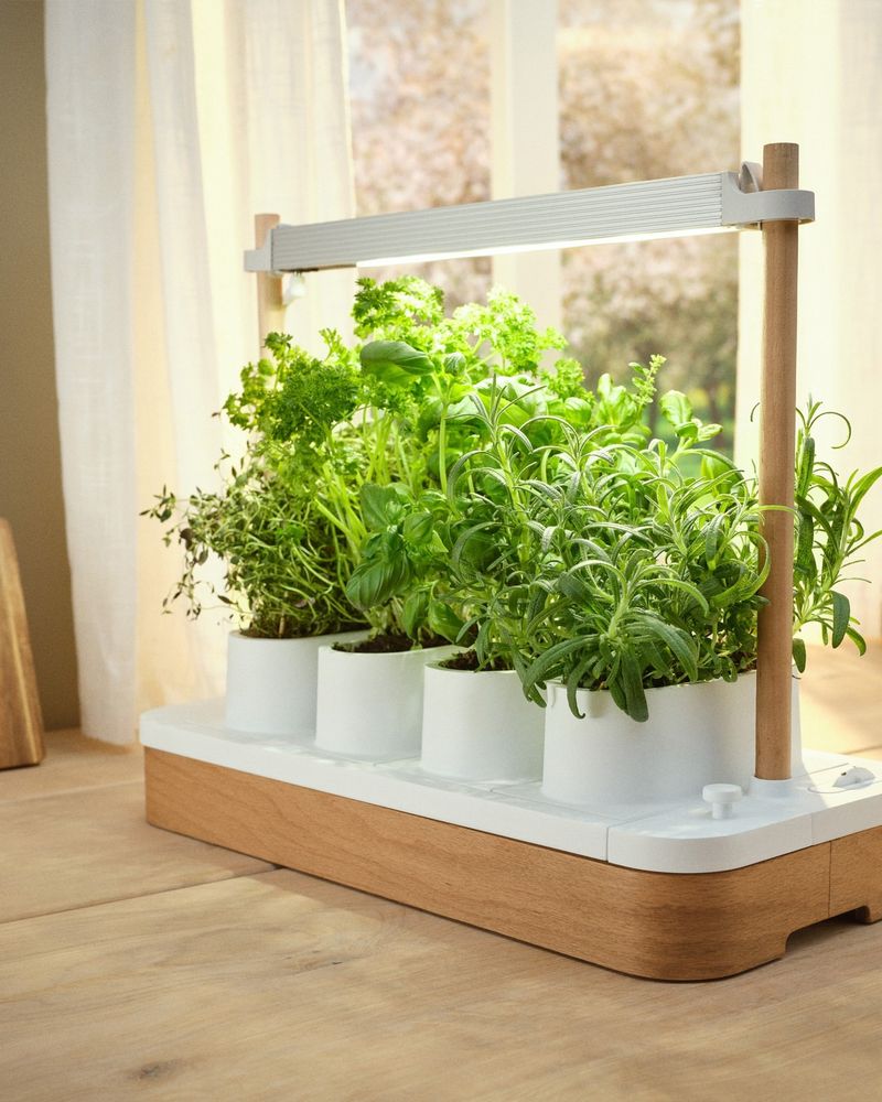 Design a Herb Garden