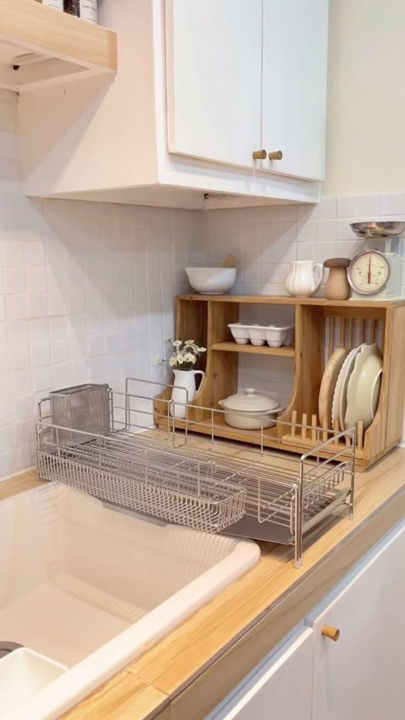 Expandable Dish Rack