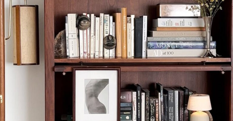 dark brown and filled bookshelf
