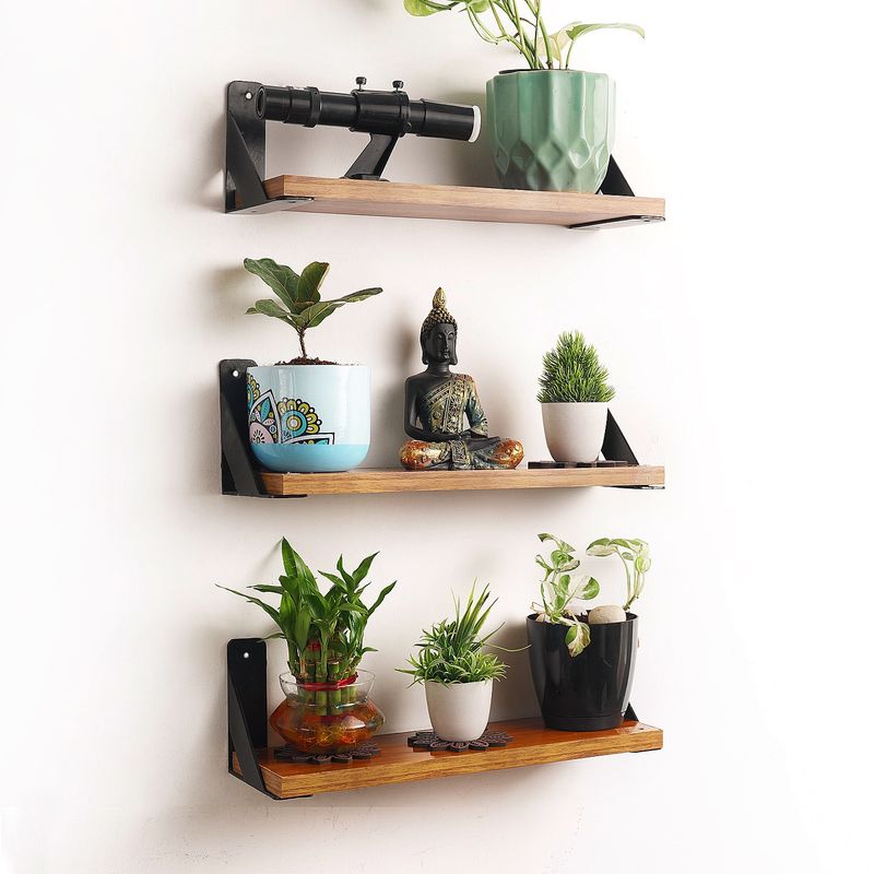 Floating Plant Shelves