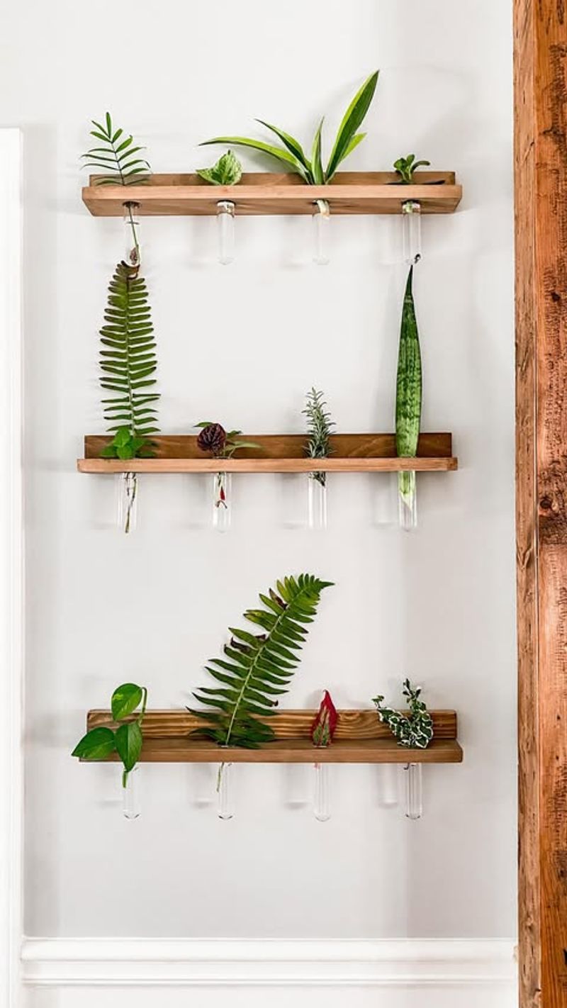 Floating Plant Shelves