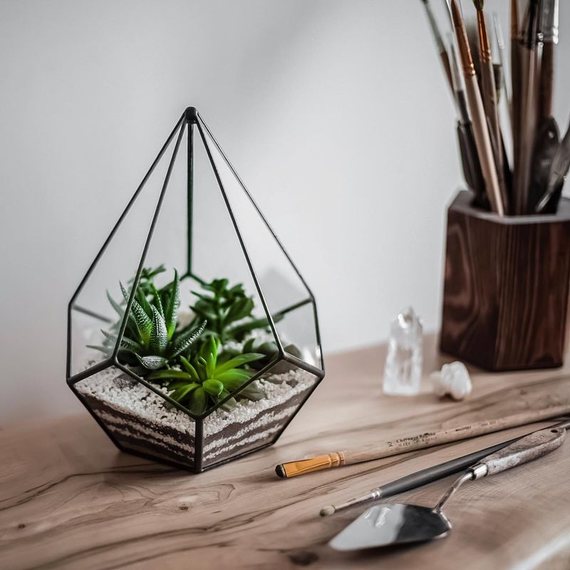 Geometric Terrarium