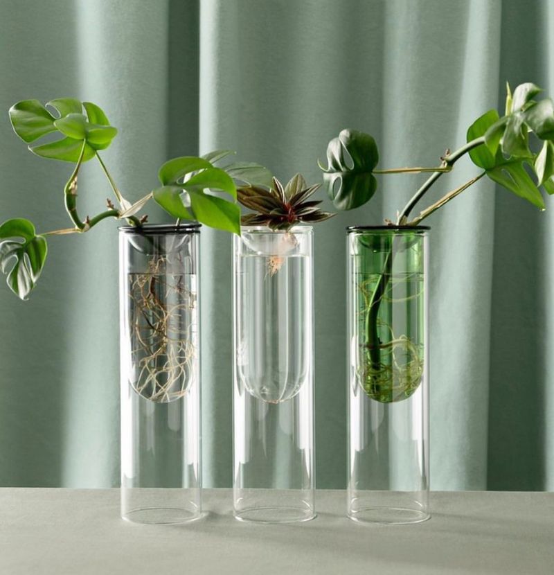 Glass Planters