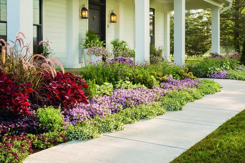 Flower-Edged Pathway