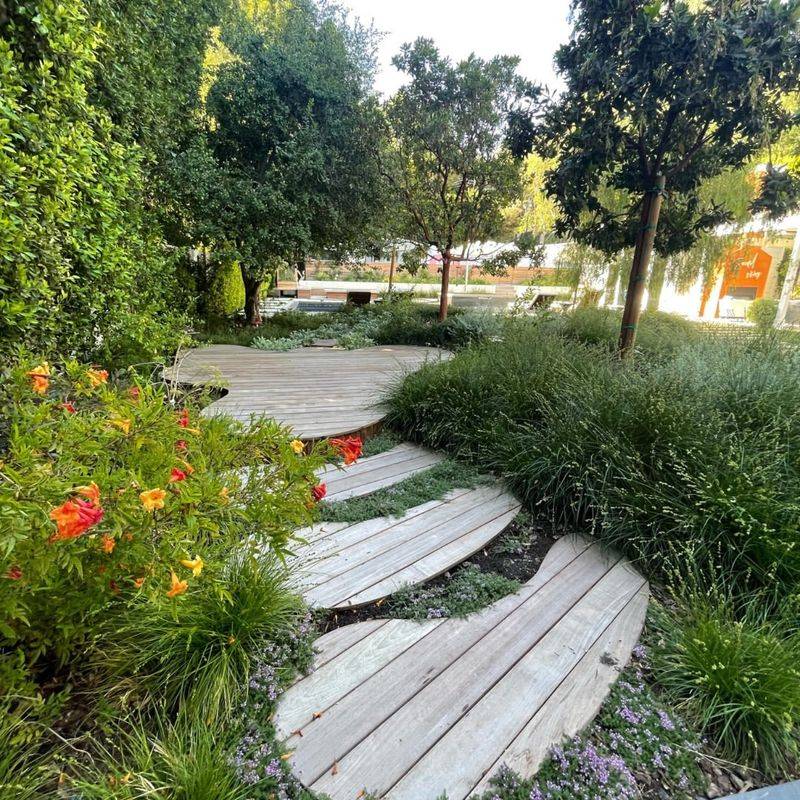 Wooden Boardwalk Path