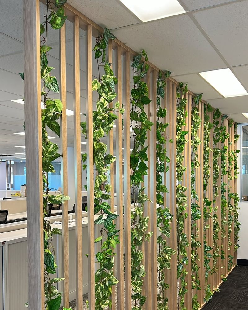 Hanging Plant Divider