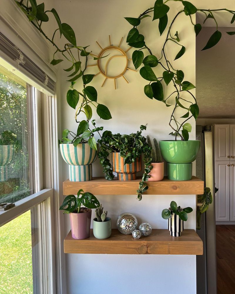 Hanging Planters