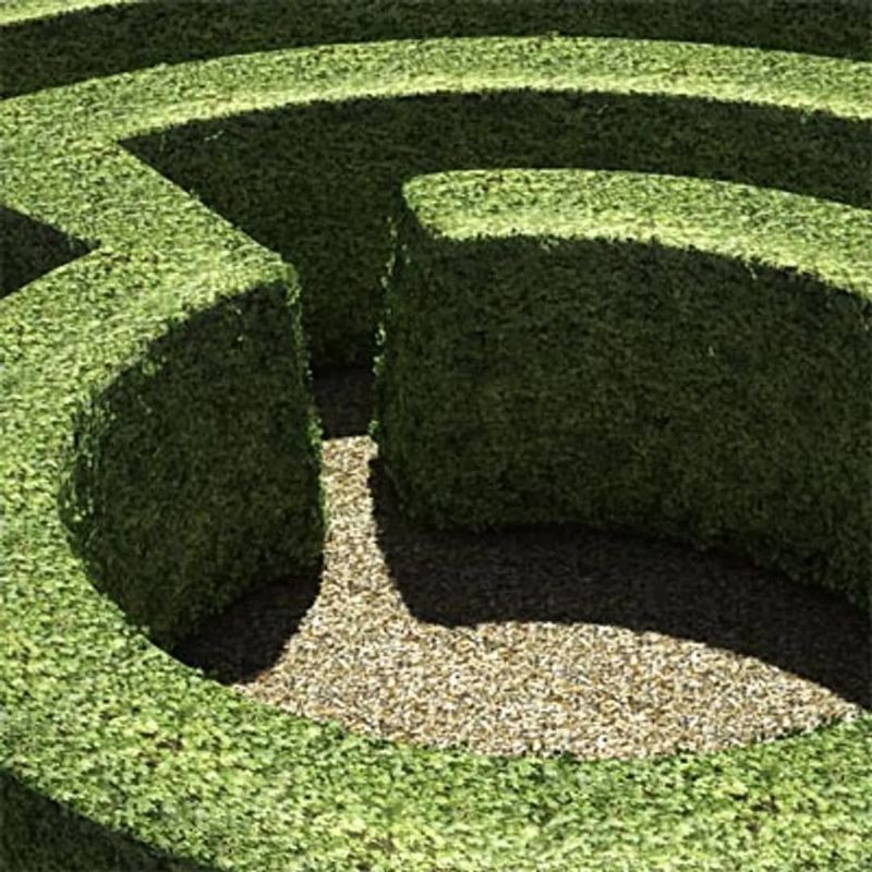 Hedge Mazes