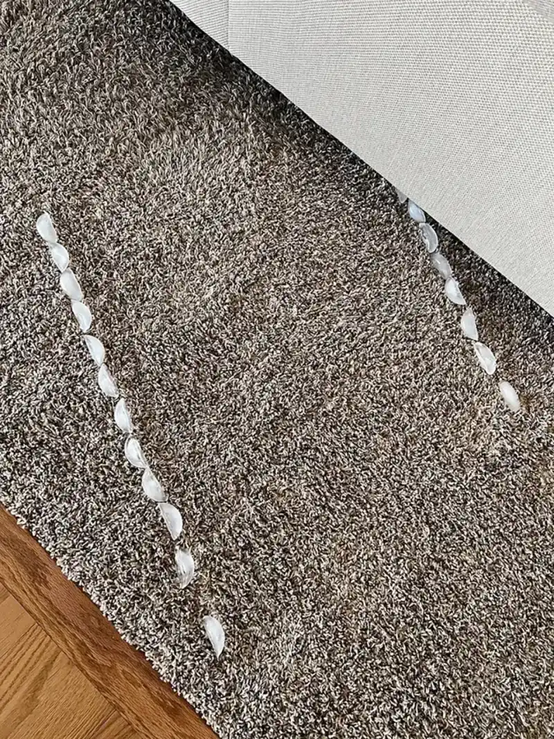 Ice Cube Carpet Dents