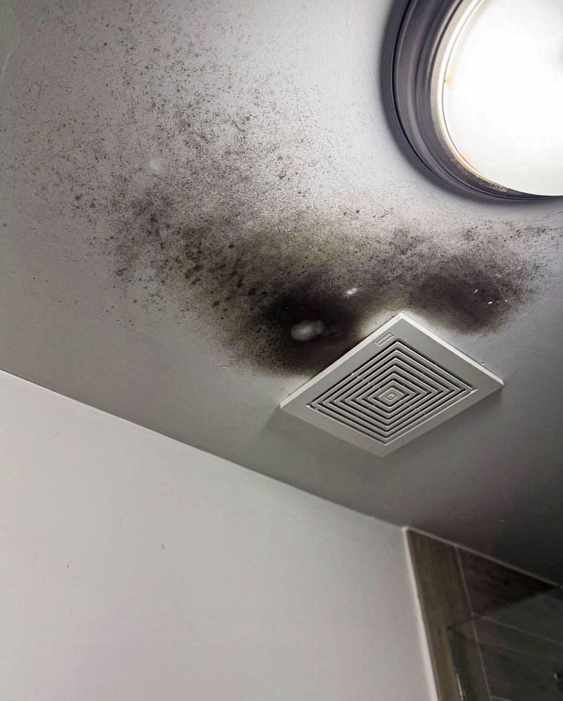 Ignoring Mold and Mildew