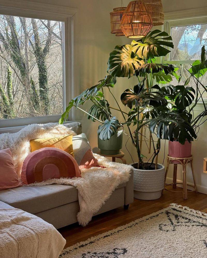 Indoor Greenery