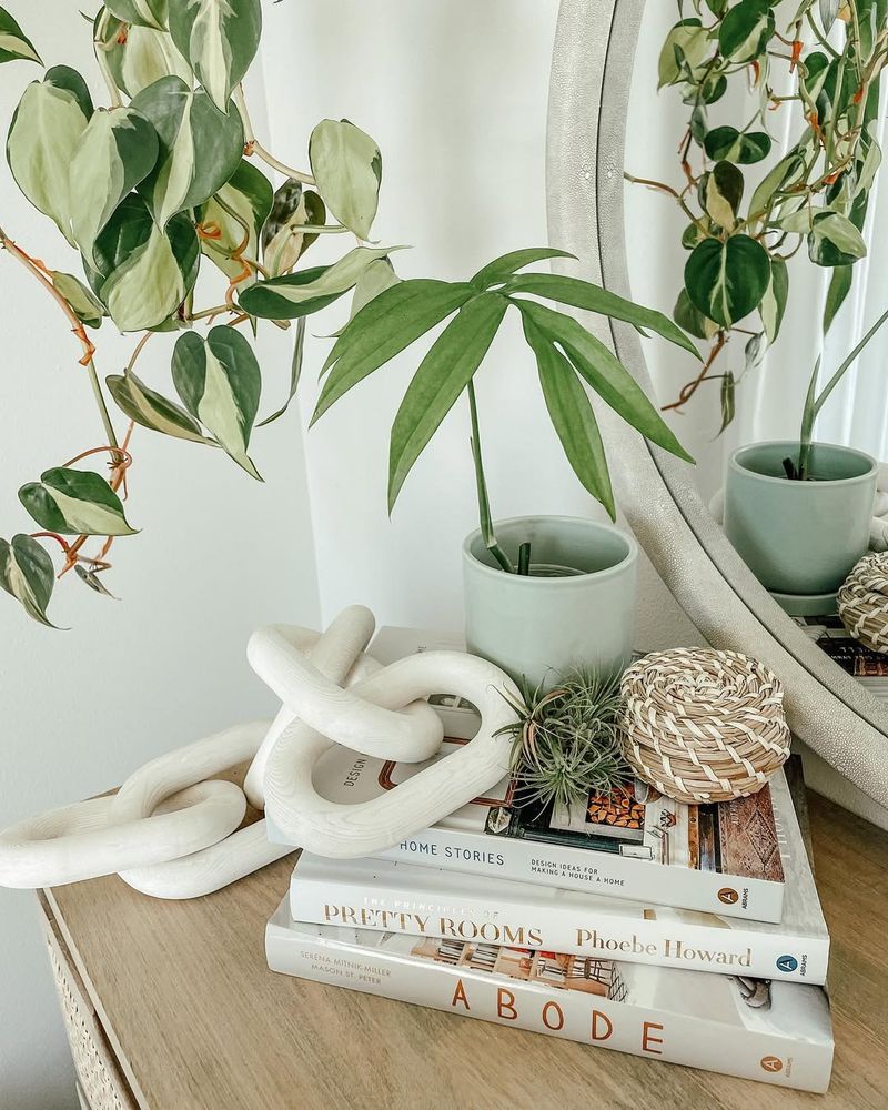 Indoor Plants for Freshness