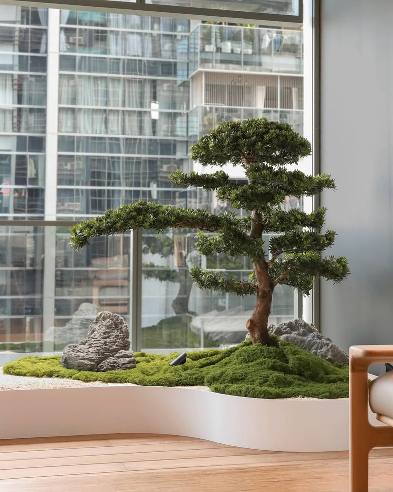 Indoor Zen Garden