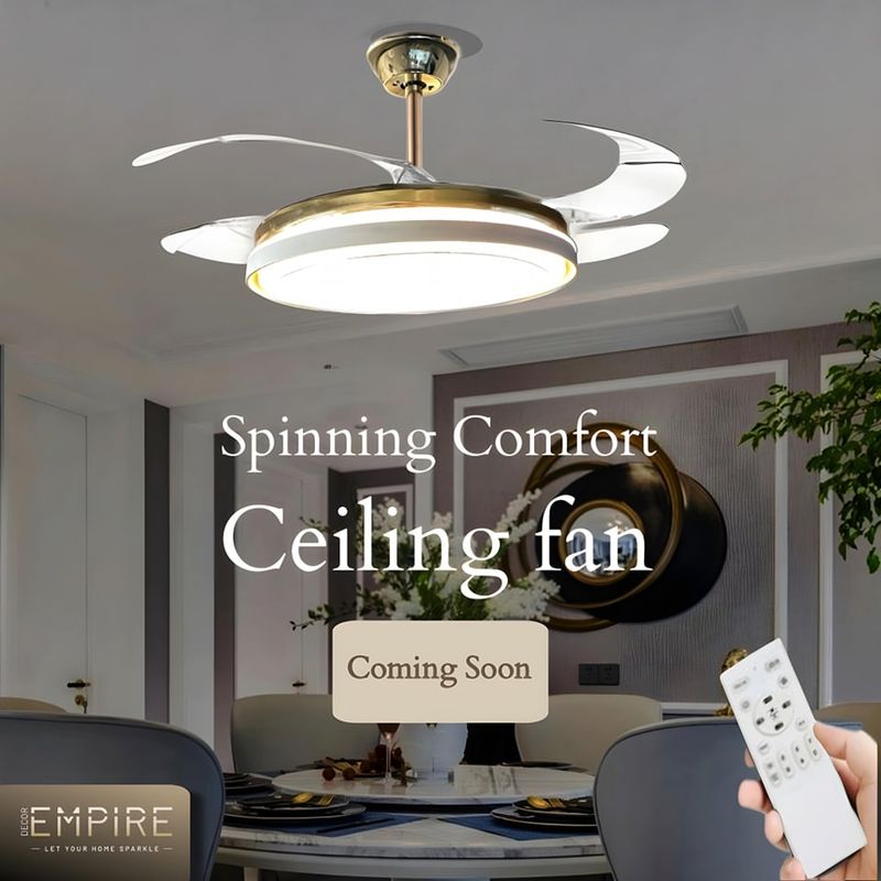 Innovative Ceiling Fan