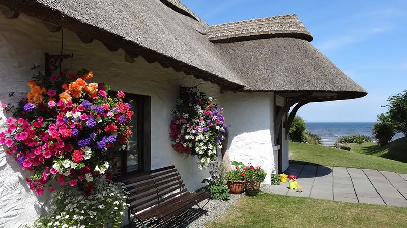 Irish Cottage by the Sea