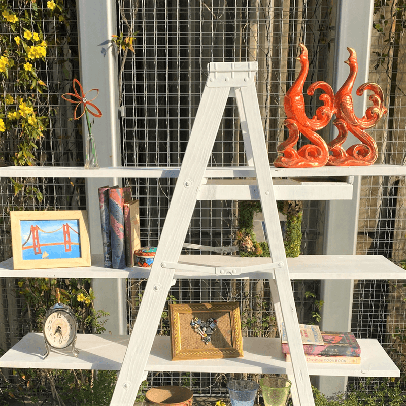 Ladder Bookshelf