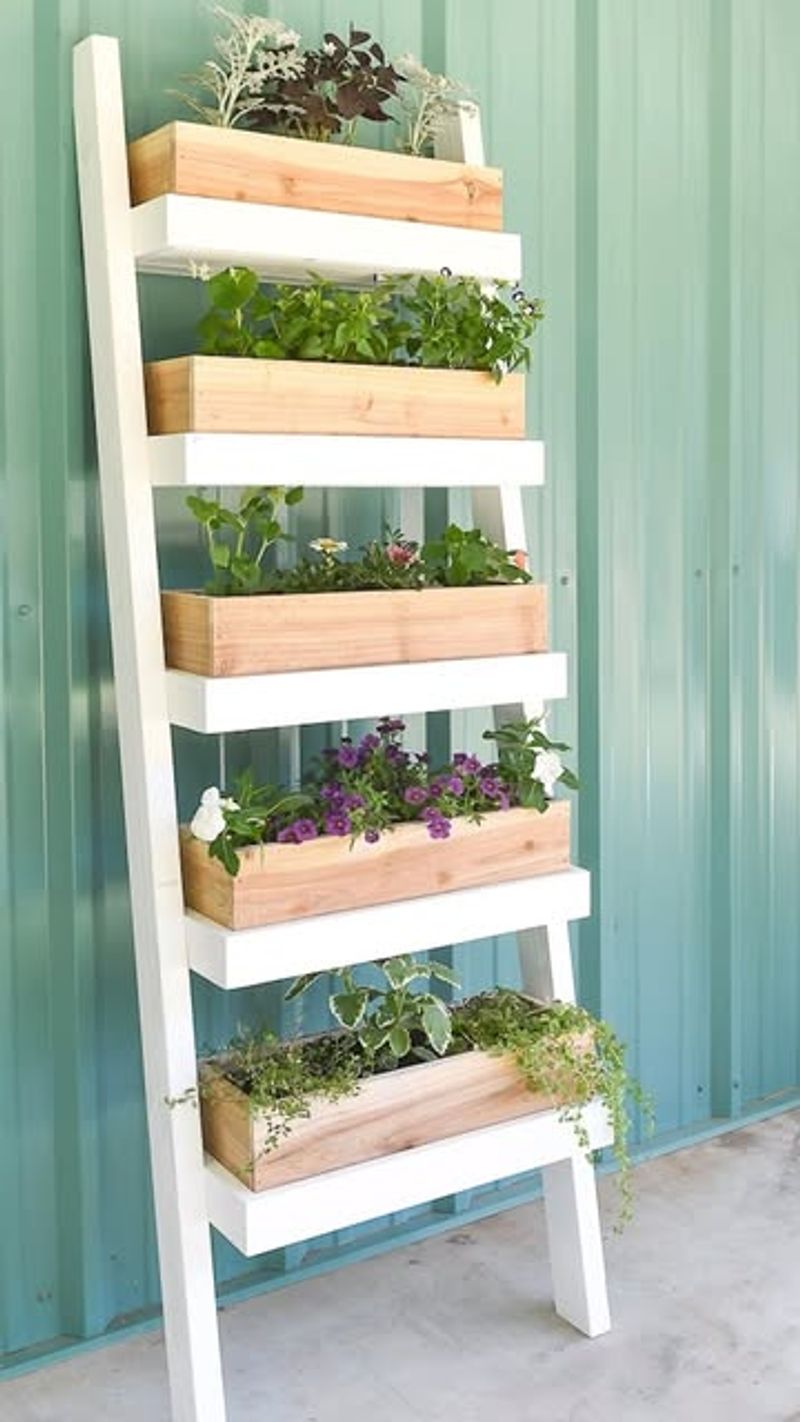 Ladder Shelves