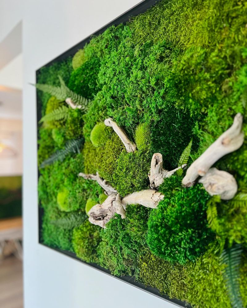 Living Moss Art