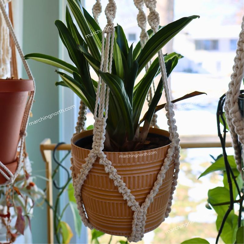 Macramé Plant Hangers