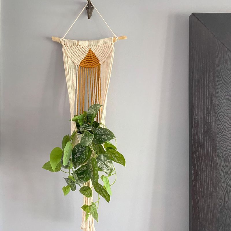 Macramé Plant Hangers