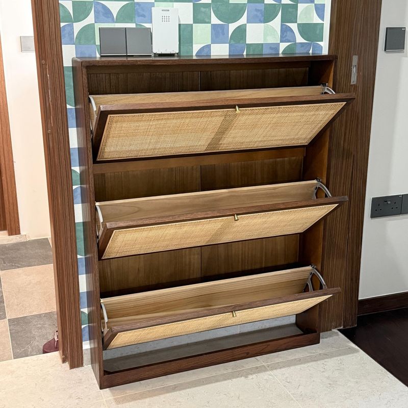 Modern Shoe Cabinet