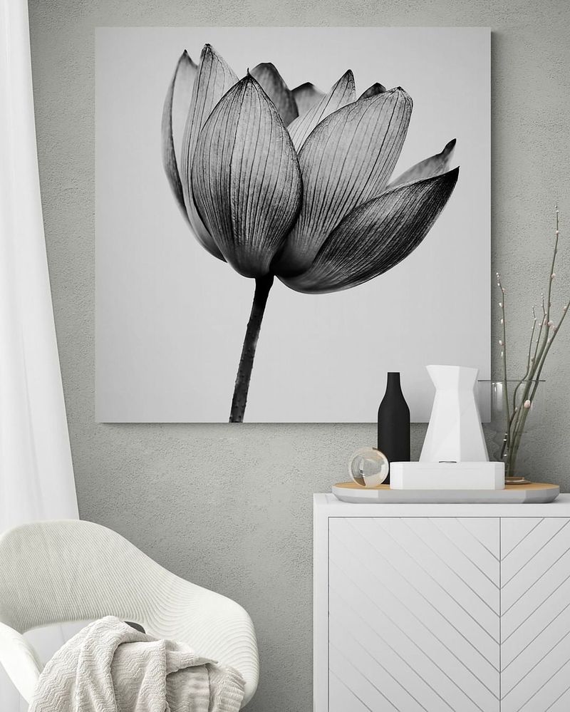 Monochrome Art Pieces