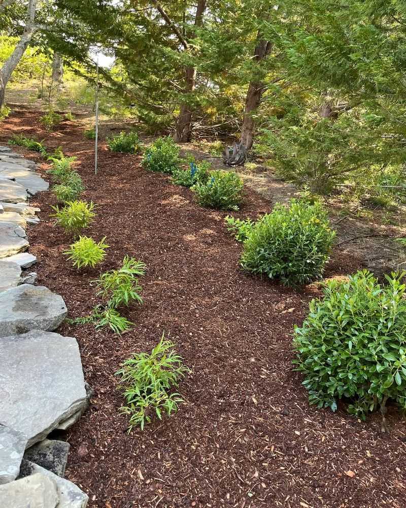 Bark Mulch Path