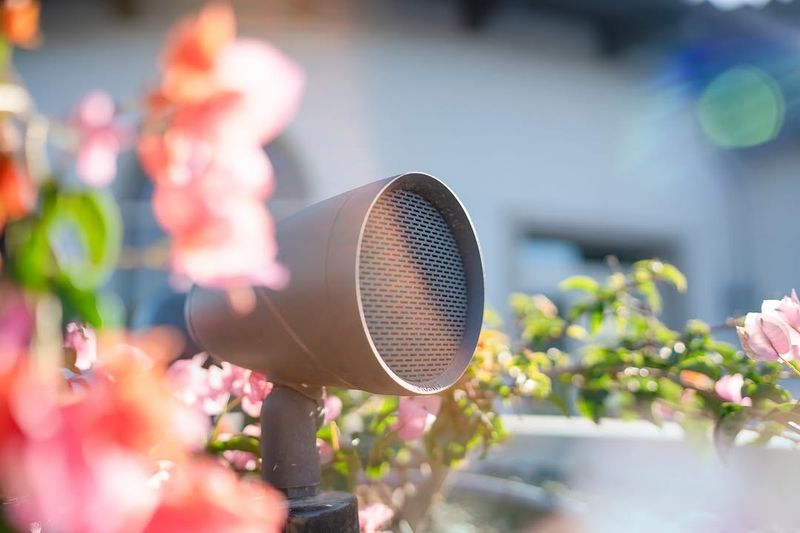 Outdoor Sound System