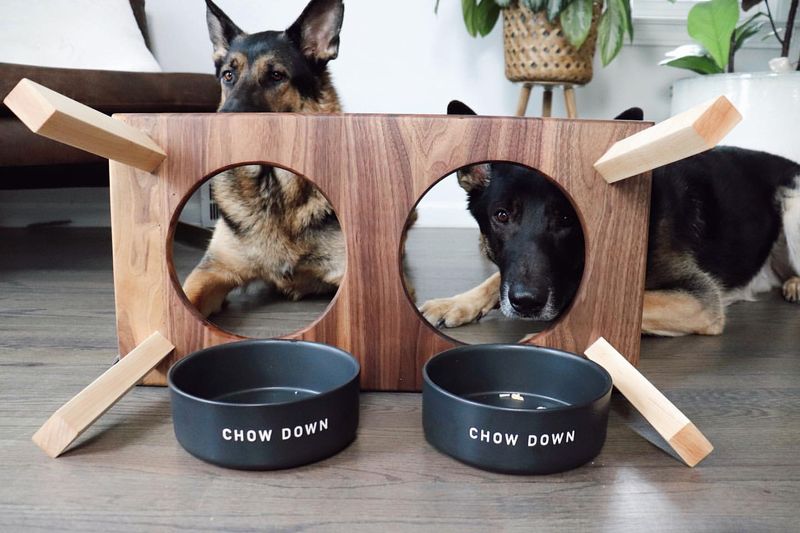 Pet Food Bowls