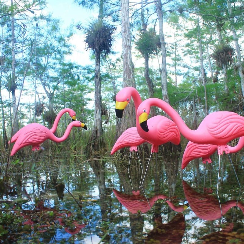 Plastic Flamingos