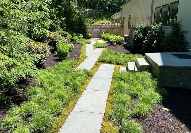 Modern Concrete Slab Path