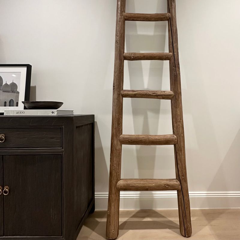 Rustic Ladder Shelf