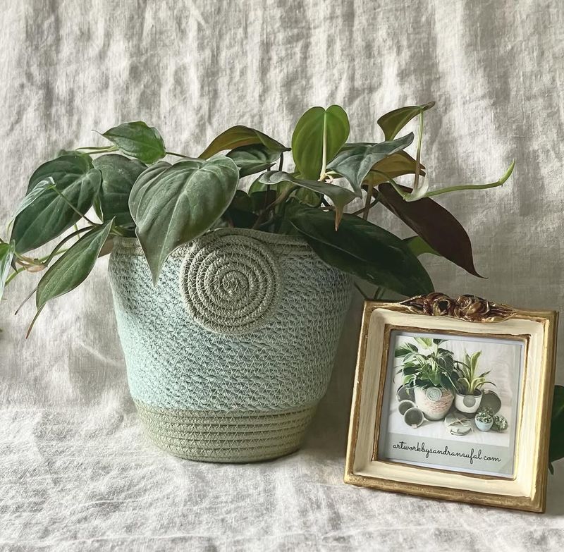 Sage Green Planters