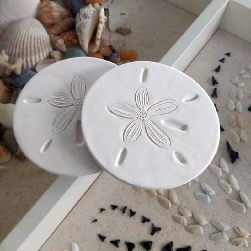 Sand Dollar Coasters