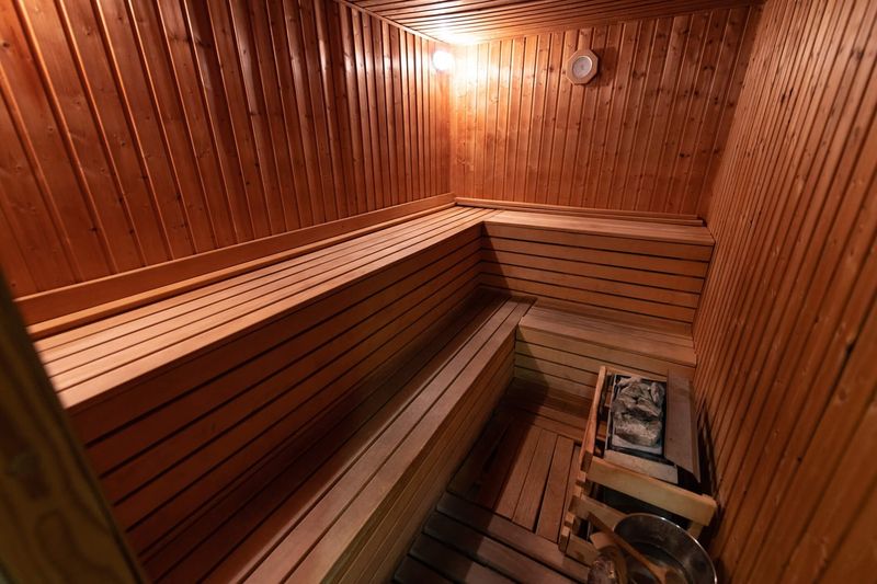 Sauna or Steam Room