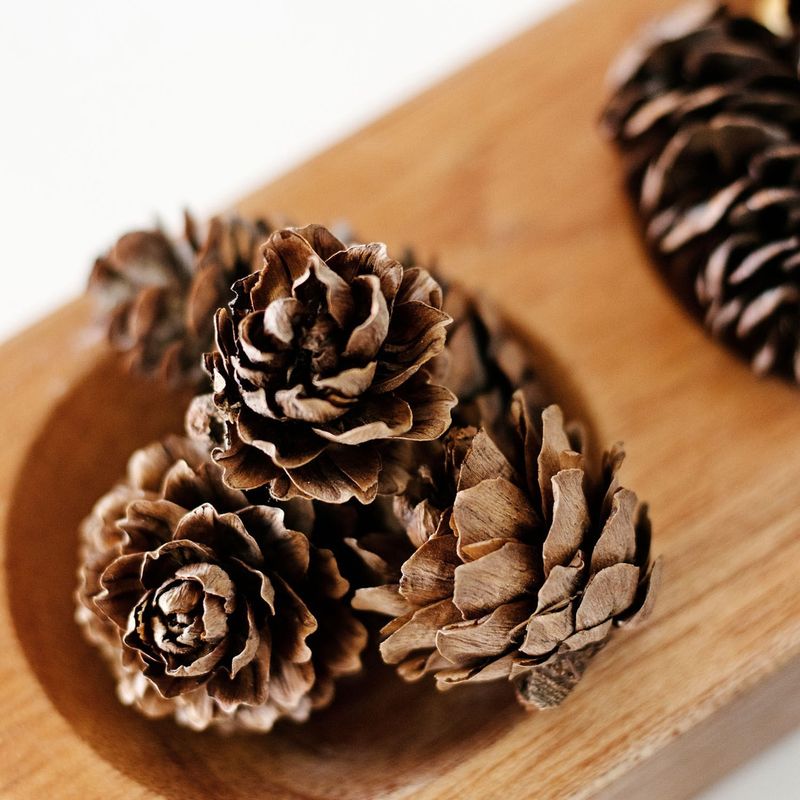 Scented Pine Cones