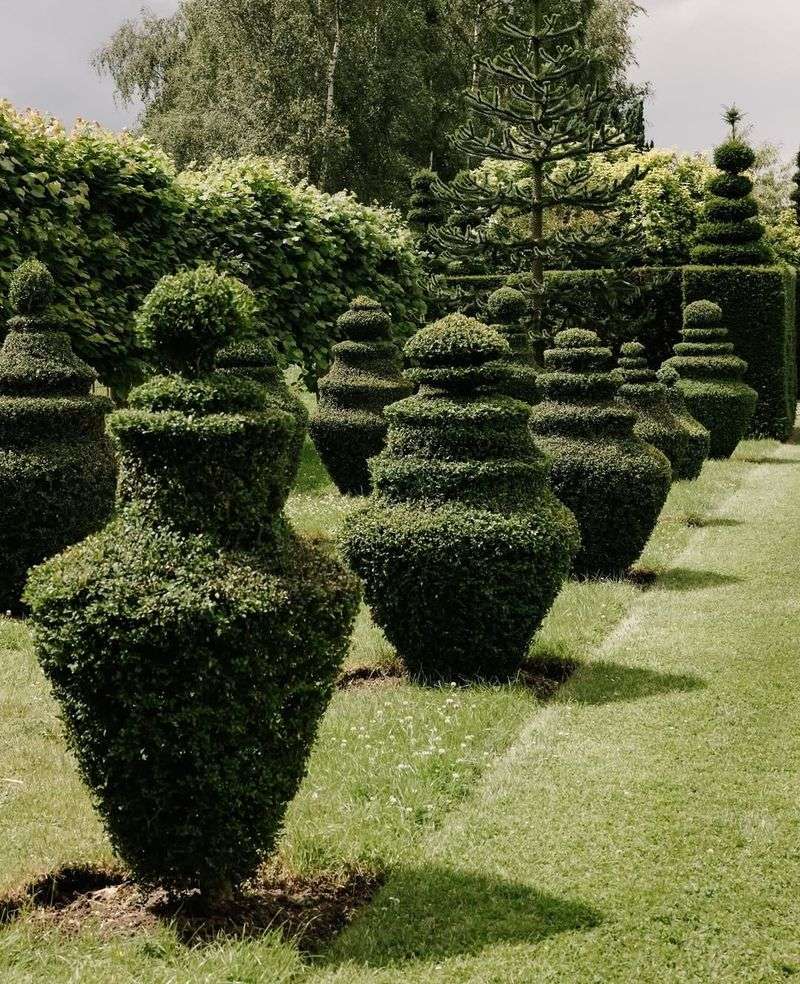 Sculpted Hedges