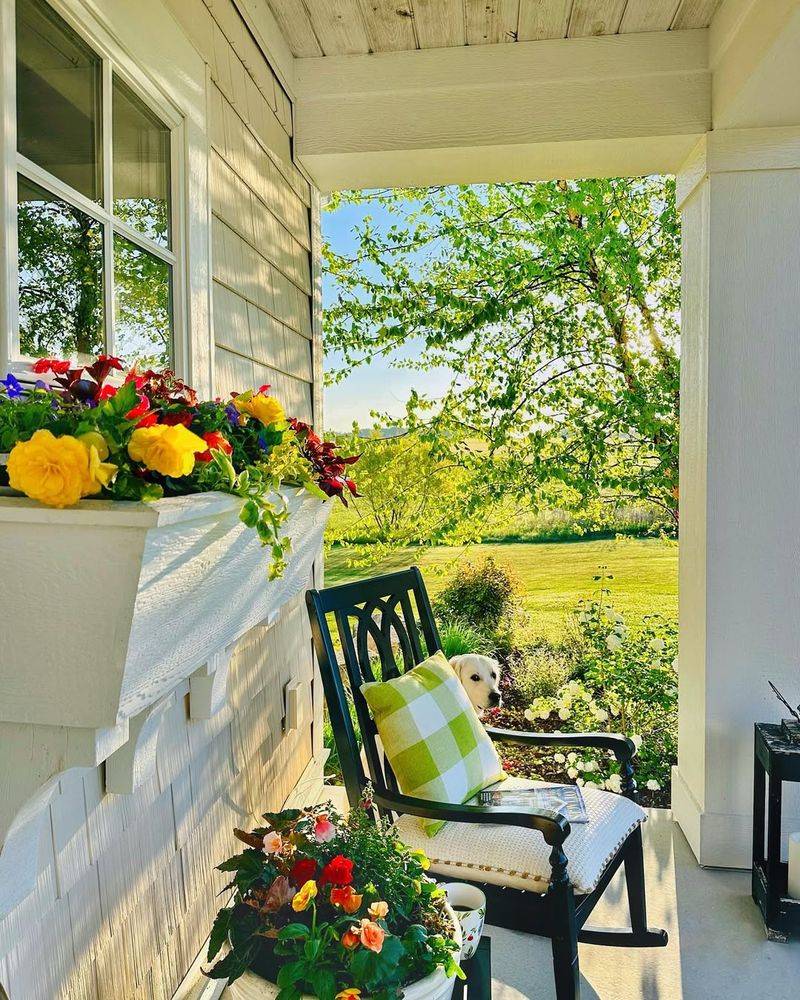 Window Boxes