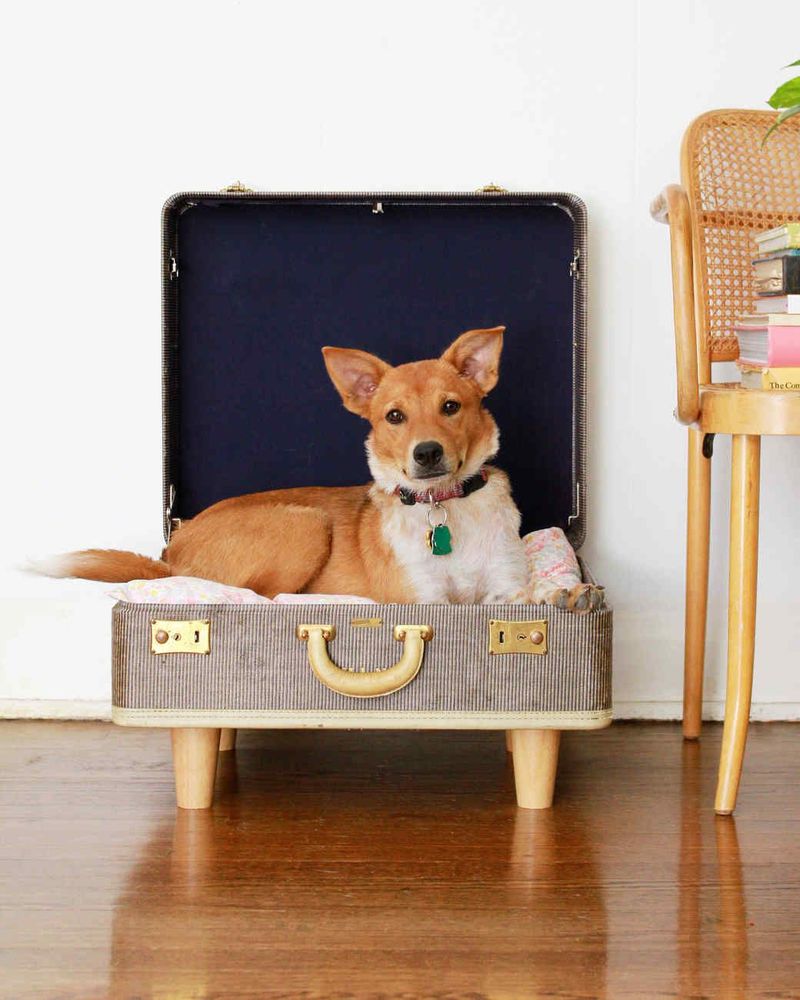 Suitcase Pet Bed