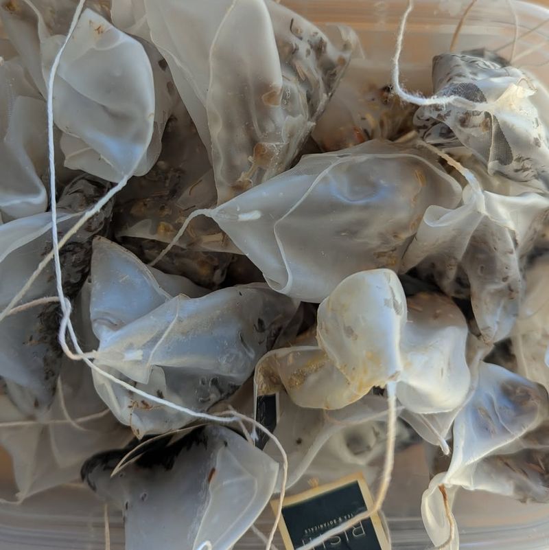 Tea Bags for Fridge Odors