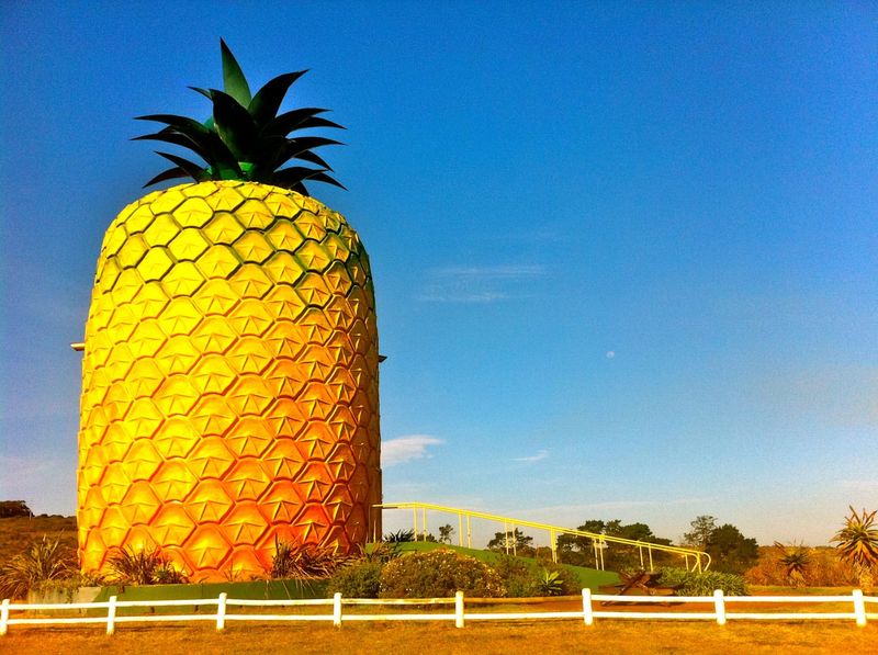 The Big Pineapple Building, Australia