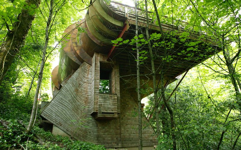 The Forest Canopy Retreat