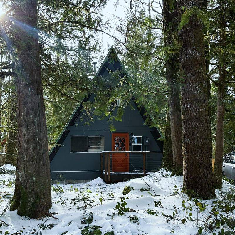 The Forest Hideaway