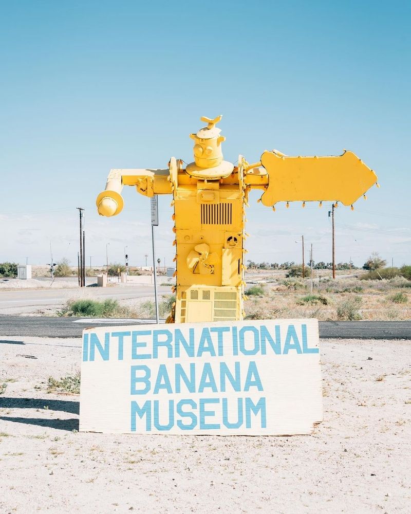 The International Banana Museum, California