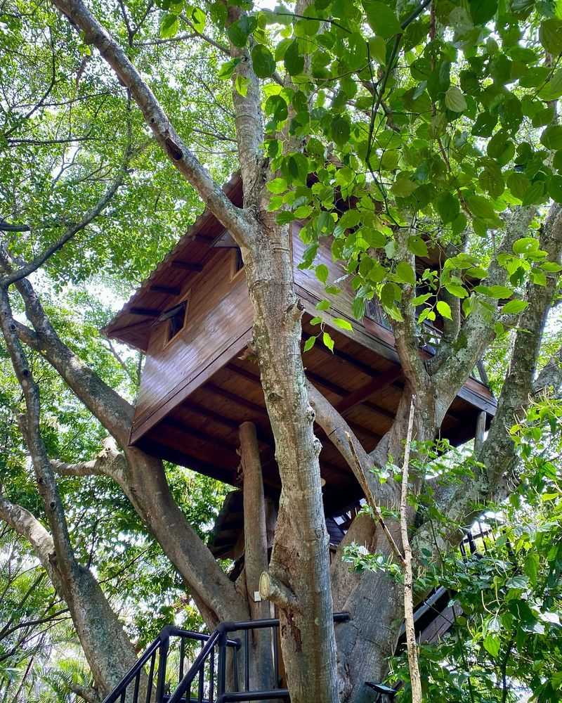 The Treehouse - Costa Rica