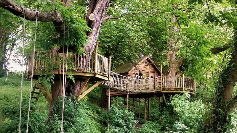 Treehouse in the Canopy